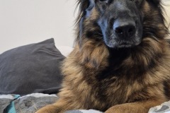 4809890d-bac9-41f3-b8cd-6f1b8d5f9857-1_all_1825